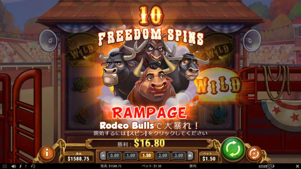 BULL IN A RODEO_Image2