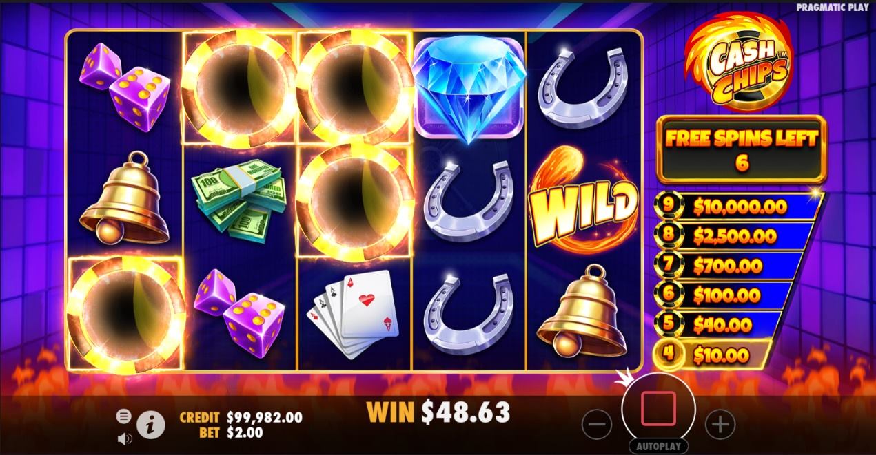 Cash Chips_image4