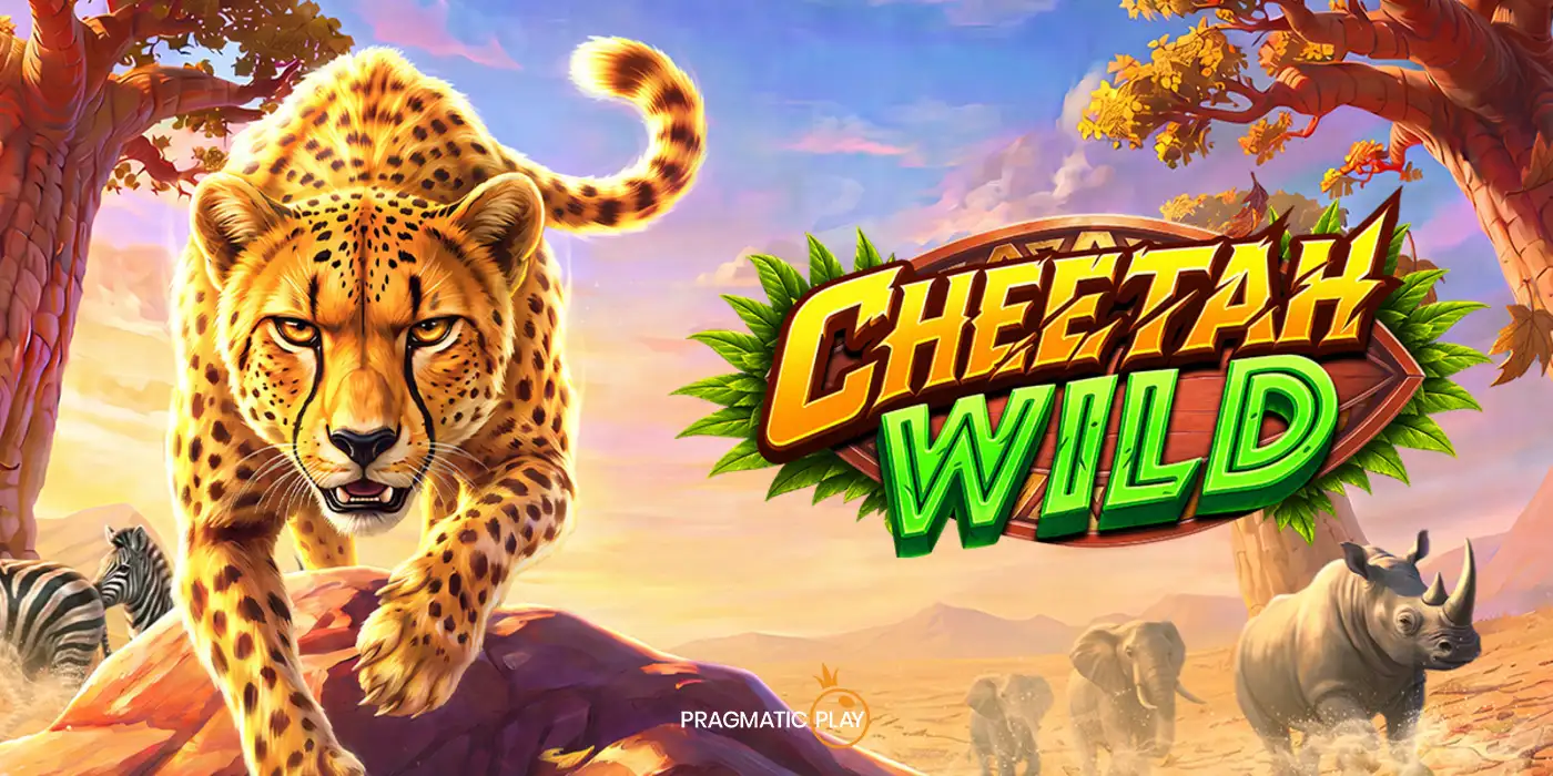 Cheetah Wild